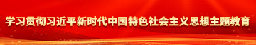 操骚毛逼学习贯彻习近平新时代中国特色社会主义思想主题教育